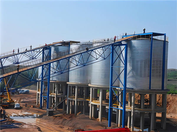 尼玛螺旋钢板仓