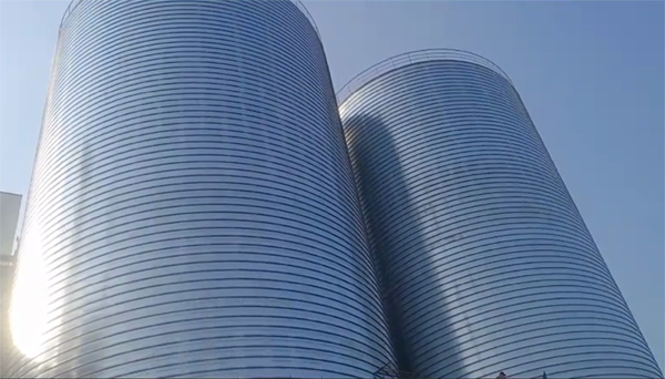 尼玛2座混凝土高架卷板仓